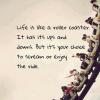 Life is like a roller coaster. It has it's ups and downs. But it's your choice...